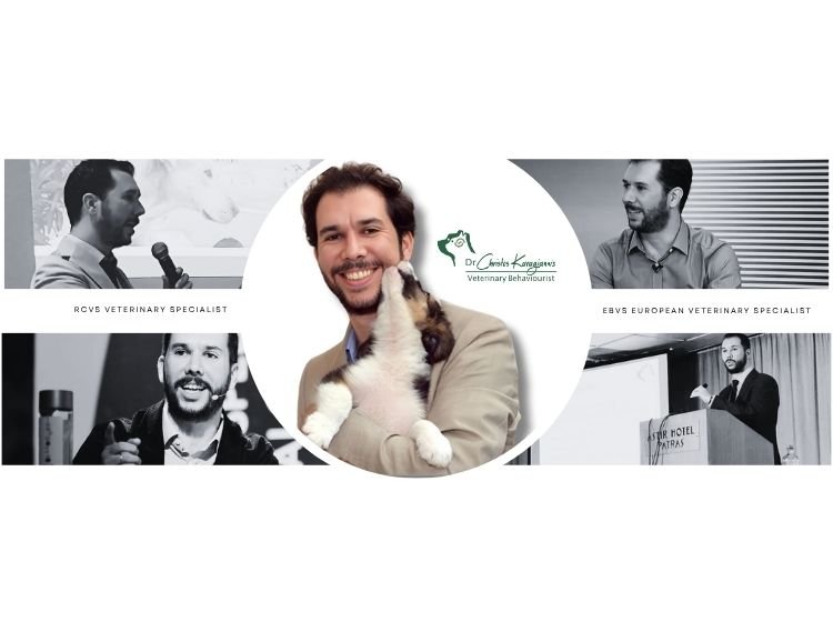 Τα Έργα μας – FROND Media® – Welcome to FROND Media® Τα Έργα μας – FROND Media® – Welcome to FROND Media®